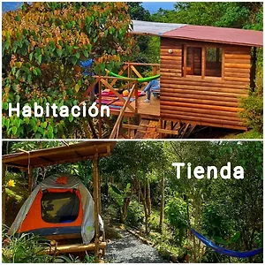 https://camping-entre-arboles.cali-hotels.com