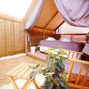 https://lemon-tree-urban-camping.hotelaalgarve.com
